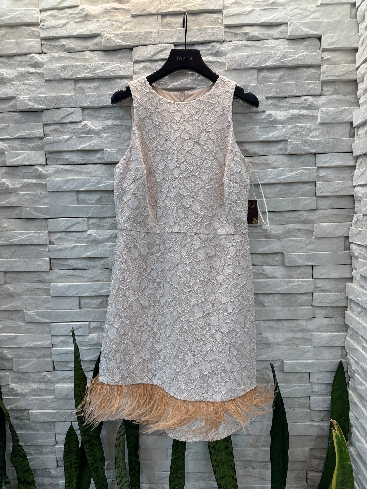 Lace Dress