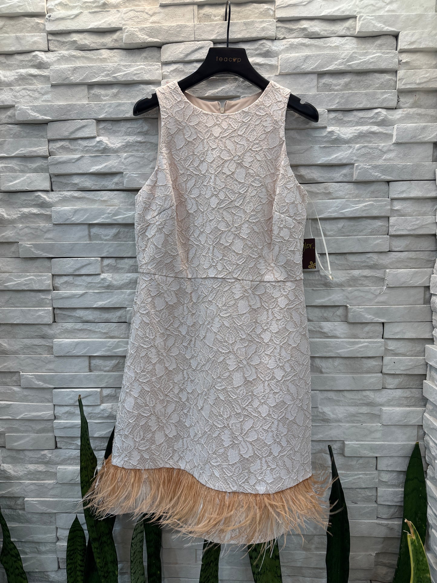 Lace Dress