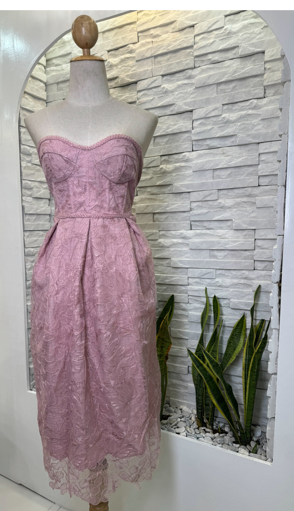 Lace Tube Dress 2-0924-03