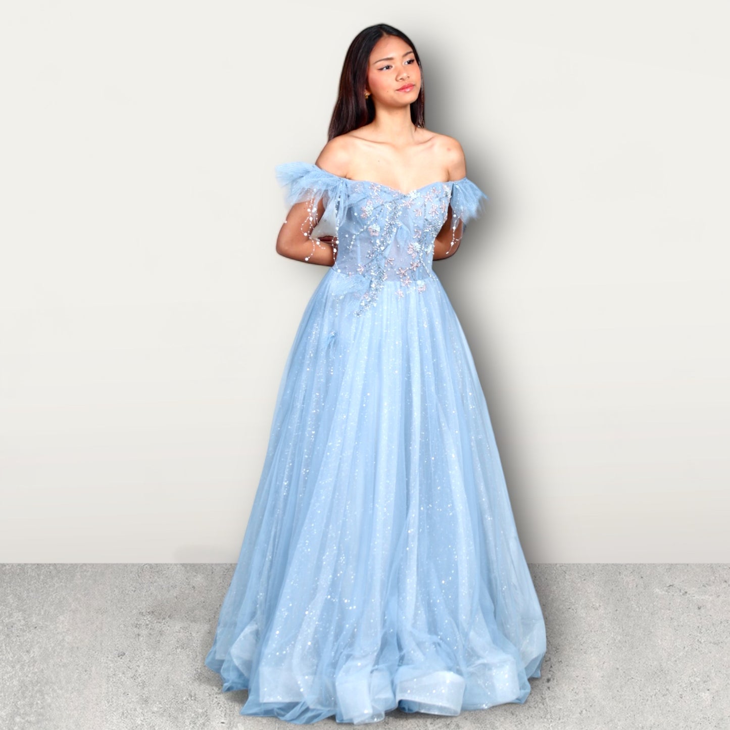 Powder Blue Enchanted Gown